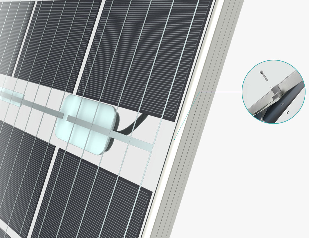 AG真人平台(中国)官方网站