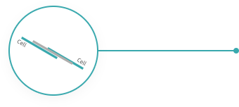 AG真人平台(中国)官方网站