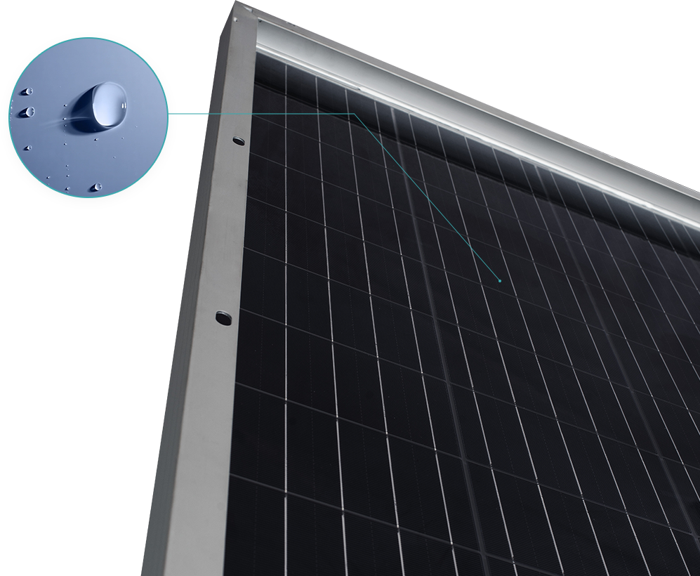 AG真人平台(中国)官方网站