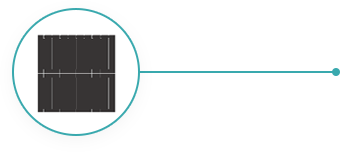 AG真人平台(中国)官方网站
