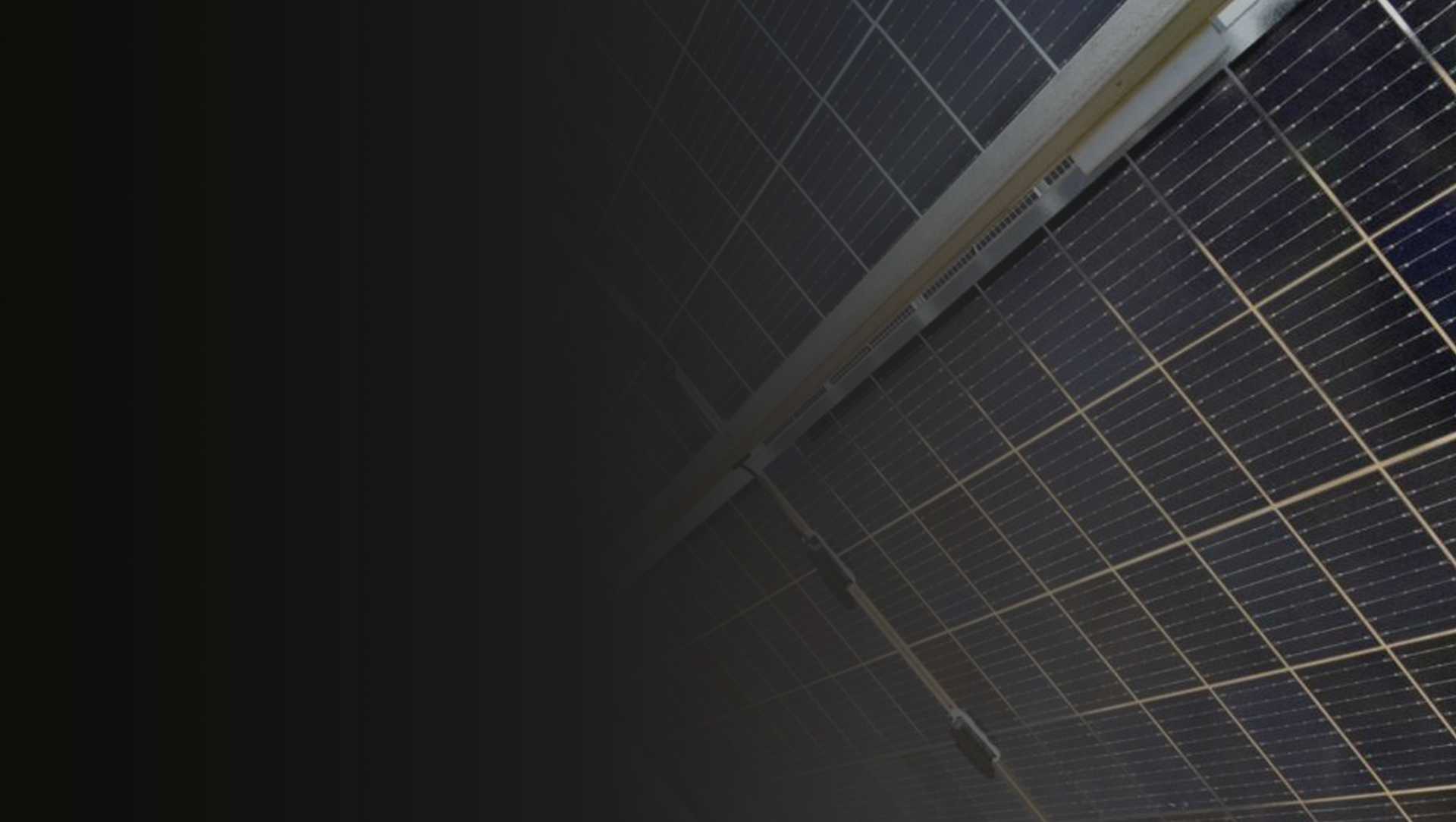 AG真人平台(中国)官方网站